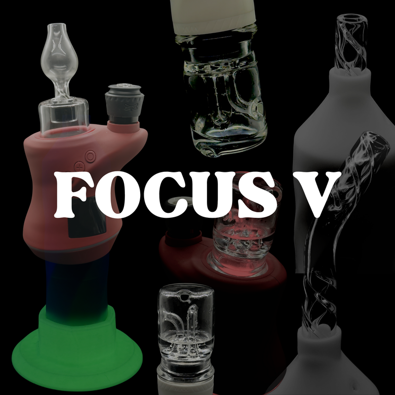 Focus V